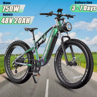 DUOTTS E26 Electric Bicycle 750W Brushless Motor 48V20AH Lithium Battery Mountain Electric Bike 26*4.0-In Fat Tire Aldult E-bike