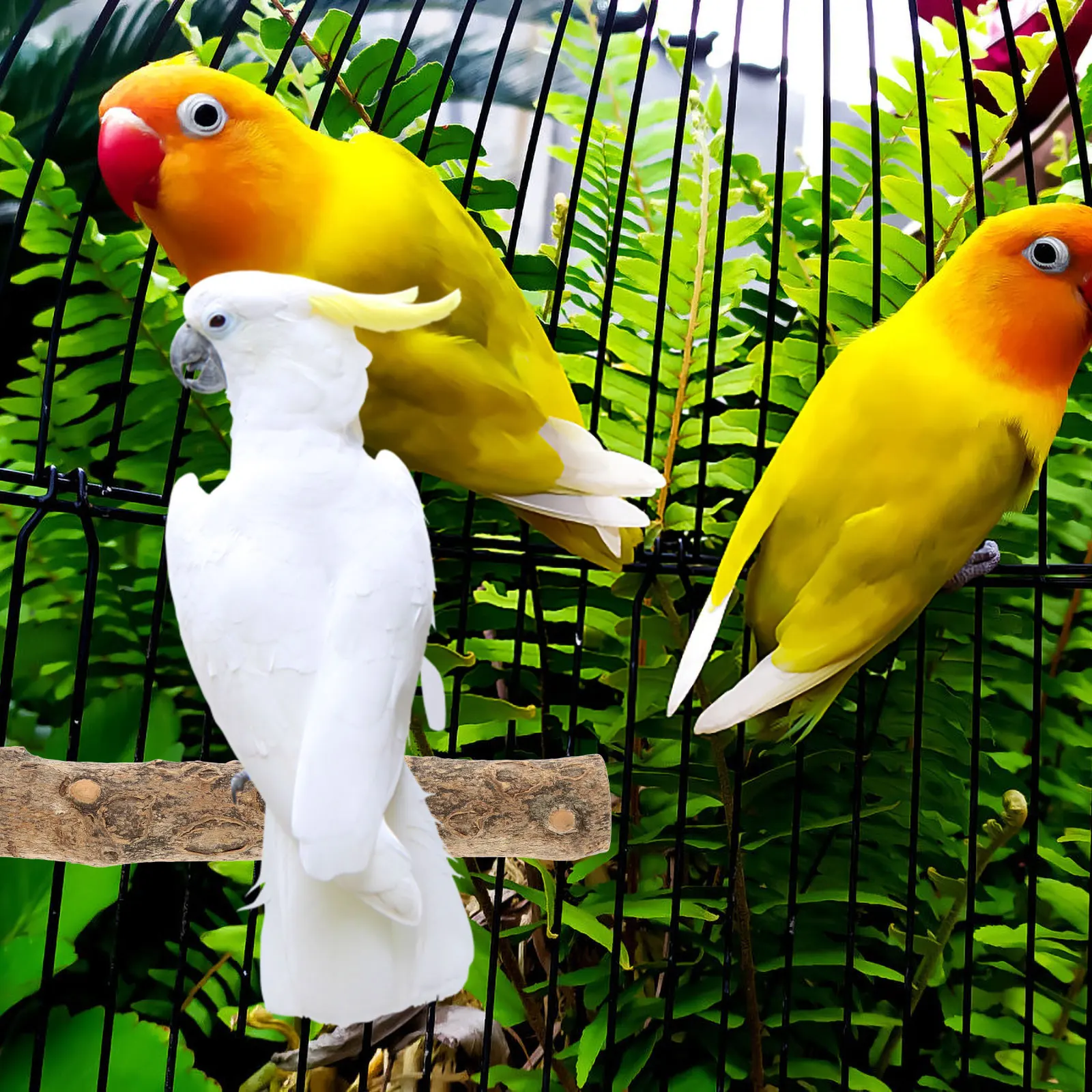 

2Pcs Wooden Parrot Perch Household Bird Stand Durable Practical Easy Install Detach Fresh Look Bird Perch Wooden Parrot Stand