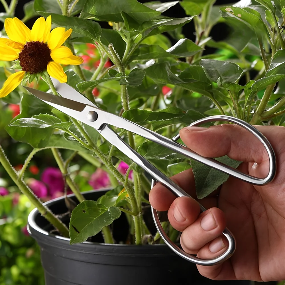 المهنية شارب حديقة مقص شجرة اليد مقص حديقة الفاكهة قطف مقص البستنة مقص التقليم مقص #3