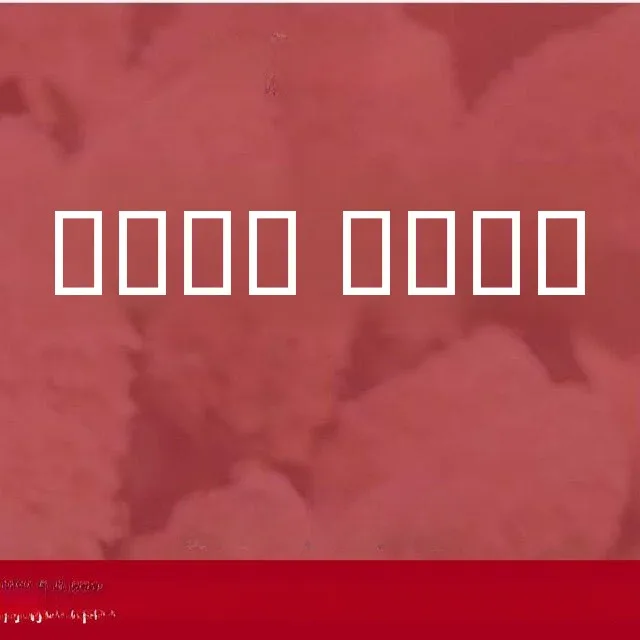 

Autumn Winter Casual Women's Coat Collection Versatile Sweet Match All Weather Length Regular Sle Other Material 00%