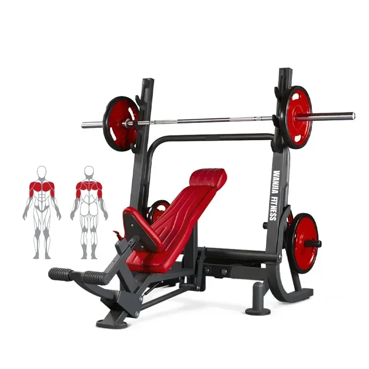 

Professional Gym Fitness Equipment Seated Super Incline Weight Bench Kettlebell Rack Distributor Wanted for Strength Power Rack