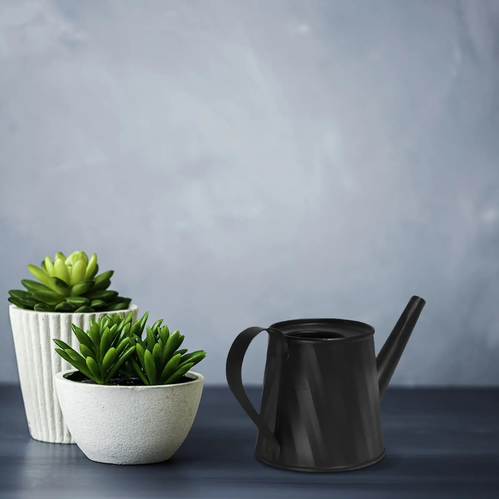 Compact Mini Watering Can for Indoor Plants Metal Small Succulent Pot Comfortable Handle Garden Use Watering Tin