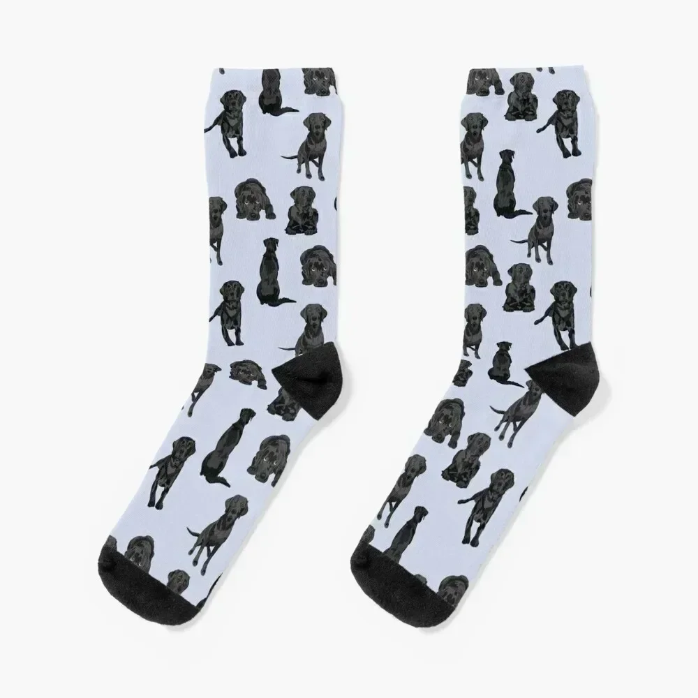 

Black Labrador Socks colored Running valentine gift ideas floor Boy Socks Women's