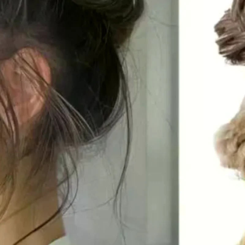 

1 Pcs Synthetic Premium Adjustable Handmade Wig Braided Elastic Band Hair Fashion Braiding Hair Headband Headwear For Women