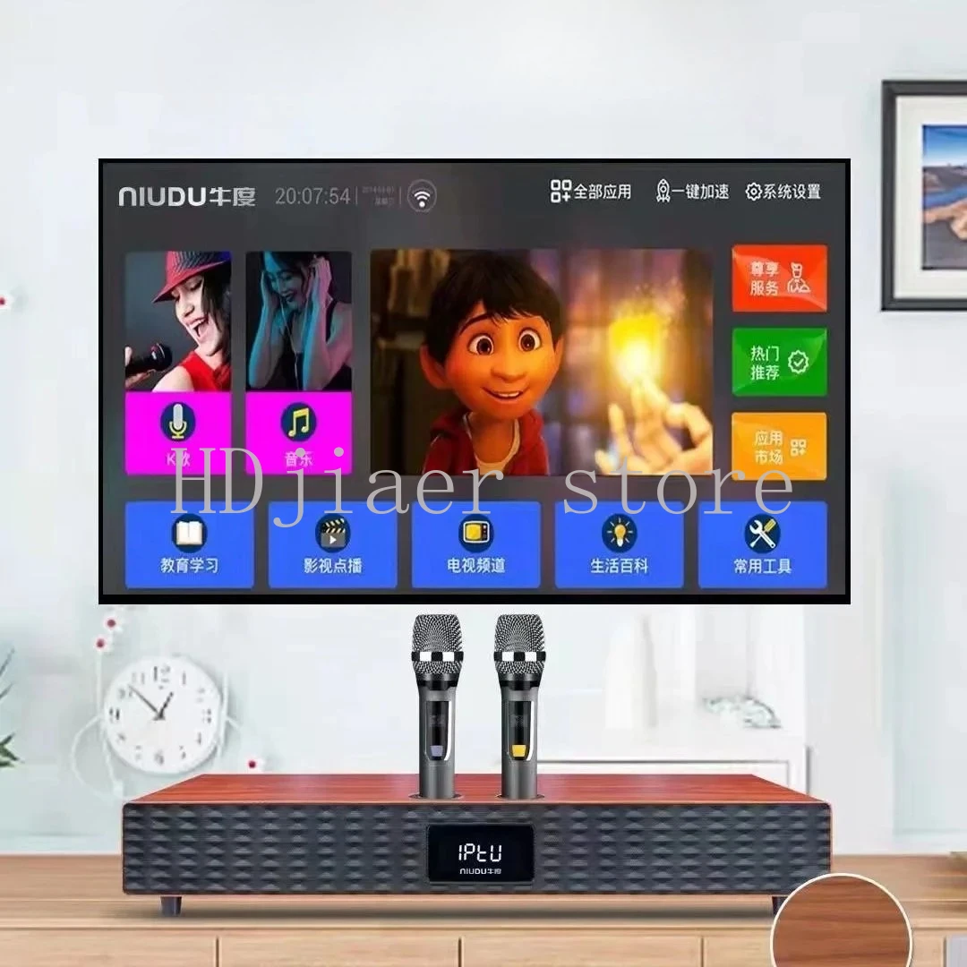 

KTV Karaoke Wireless Microphone - Echo System, Digital Audio Mixer & Portable Singing Machine