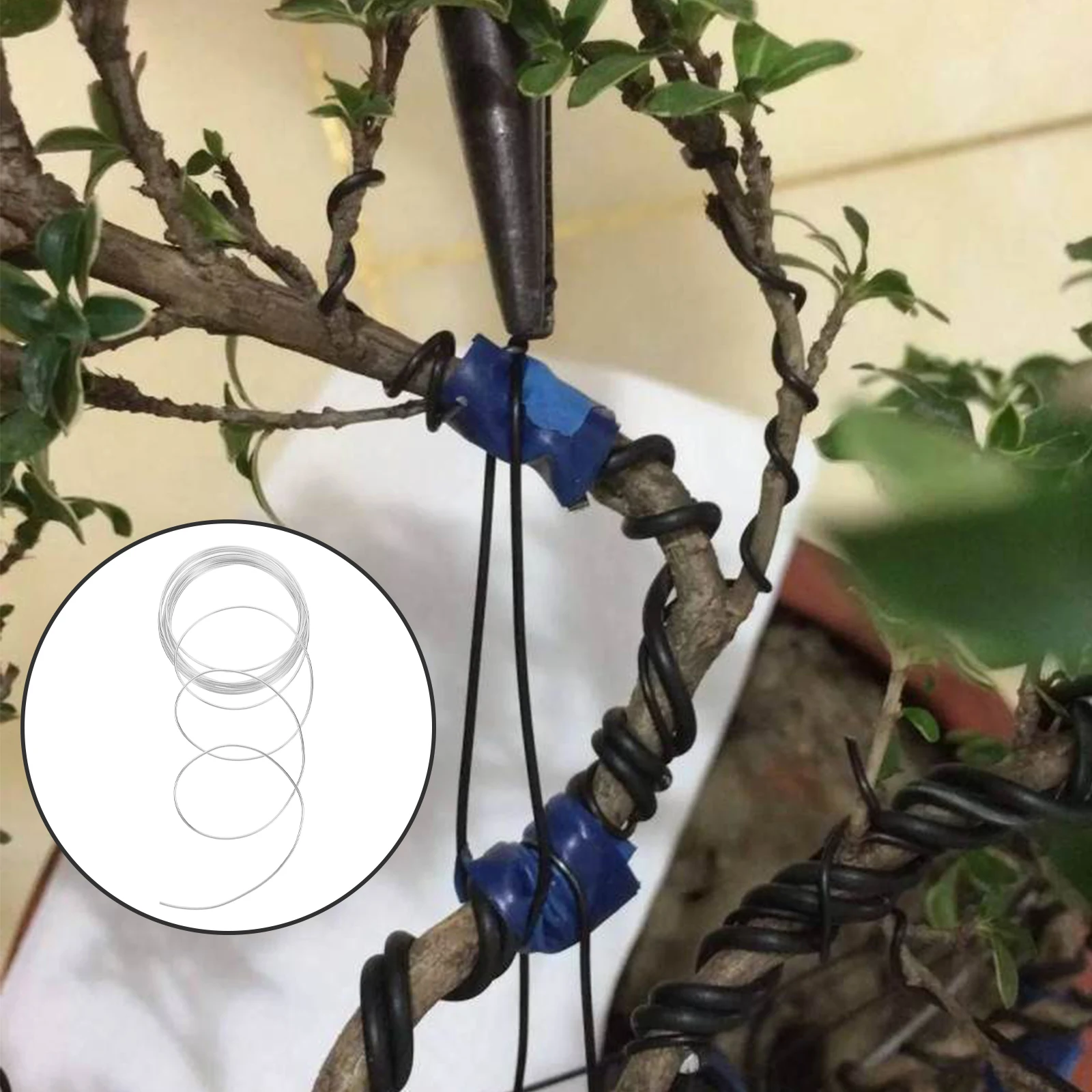 

Bonsai Flexible Shaping Fixing Wire For Indoor Outdoor Gardening Potted Indoor Potted Plants Wire Plants Tool Kit