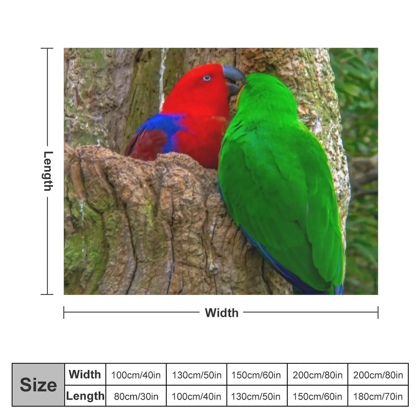 Eclectus Parrots Throw Blanket Warm Summer Comforter Blankets