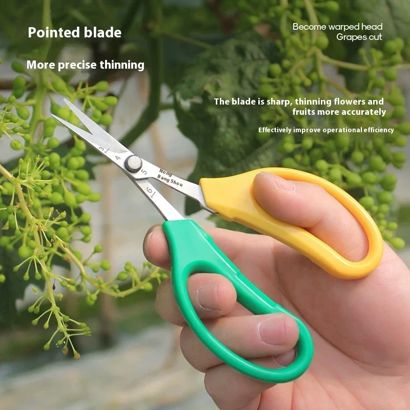 

Professional Garden Pruning Shears - Curved Blade Fruit Scissors, Grape Trimmer, Soft Grip, Heavy Duty, Sharp & Lightweight