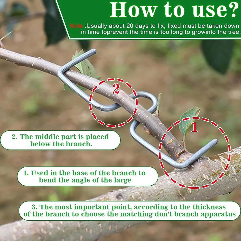 Branch Support For Fruit Trees Garden Branch Holder Silver Tree Branch Support Galvanized Iron Wire M-shaped Design