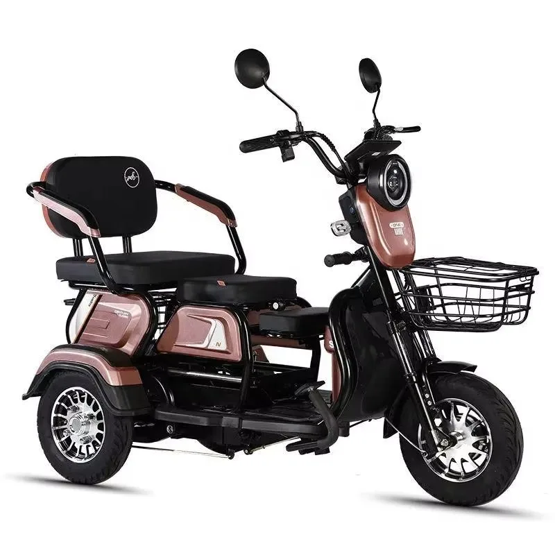 

2025 Factory Directly Supply Newest 3 Wheels Electric Tricycle Cargo and Passenger High Power 48V600W for Adults and Elderly