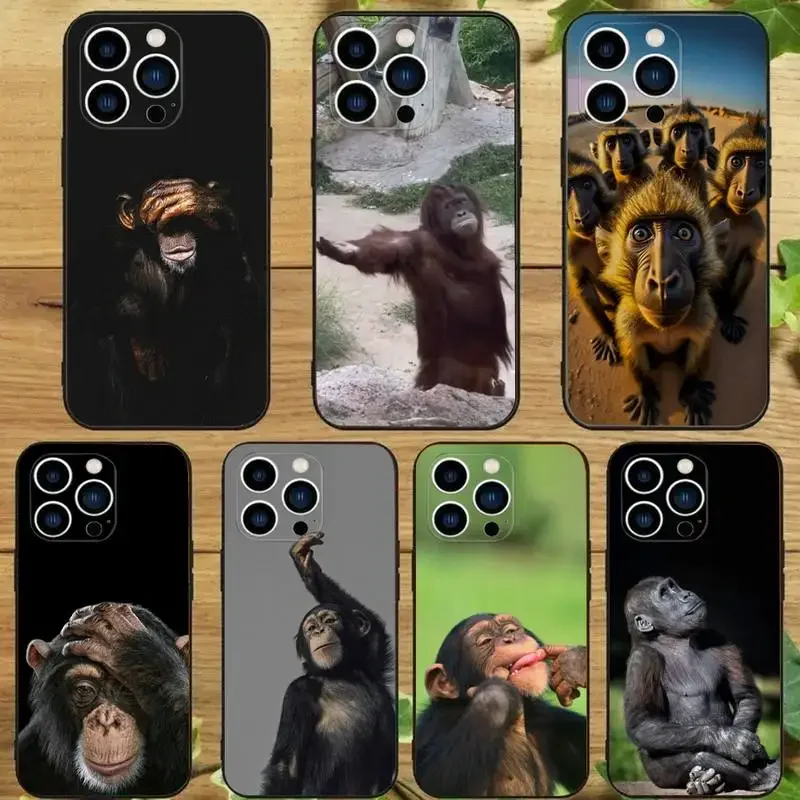 Orangutan Monkey Animal Phone Case For iPhone15,14,13,12,11Pro Max,Xs,Xr,X,7,8 Plus,12,13Mini Silicone Black Cover