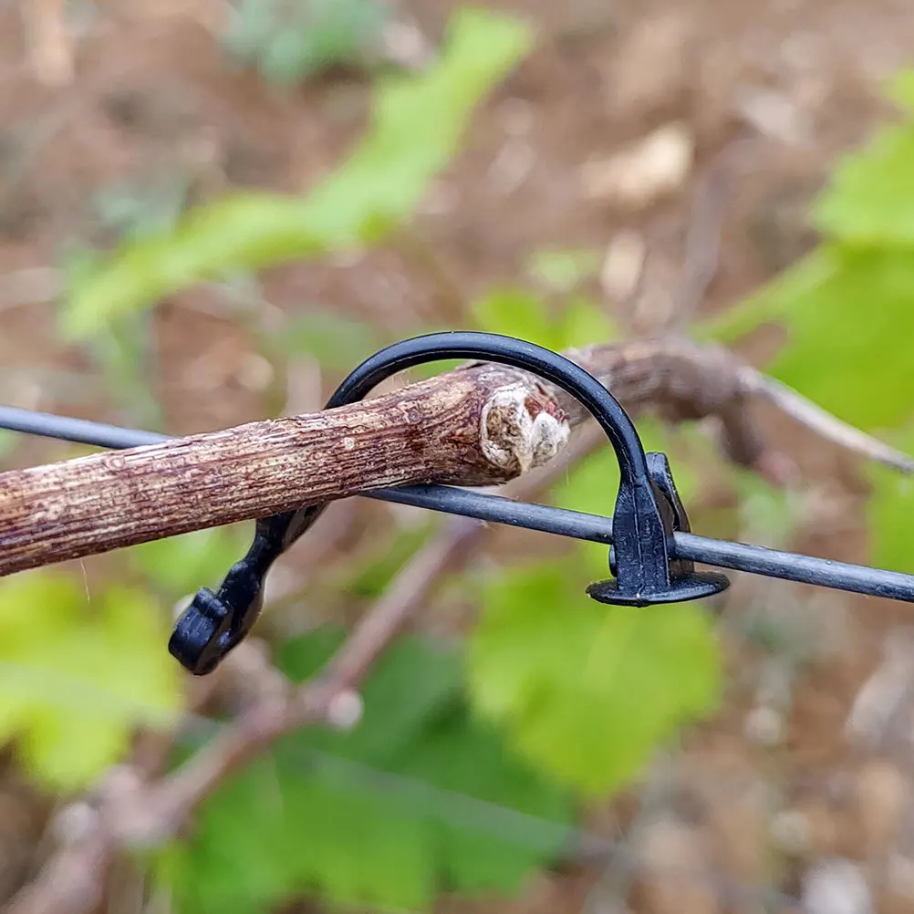 مشبك من البلاستيك لوازم الحدائق مشبك دعم الجذع لمشابك دعم الطماطم الكرمة العنب مقاطع ثني البطيخ