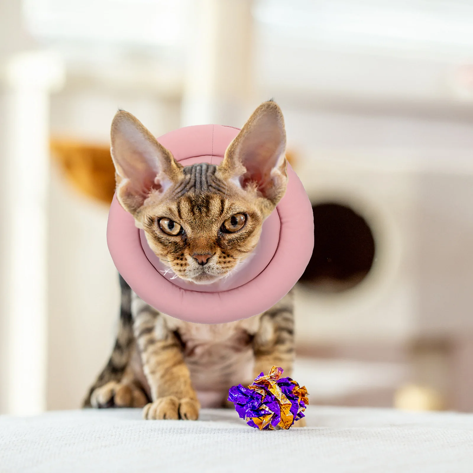 

1Pcs Cat Recovery Collar Waterproof Anti Licking Pet Supplies Protect Wound After Surgery Cat Recovery Collar Pet Supplies