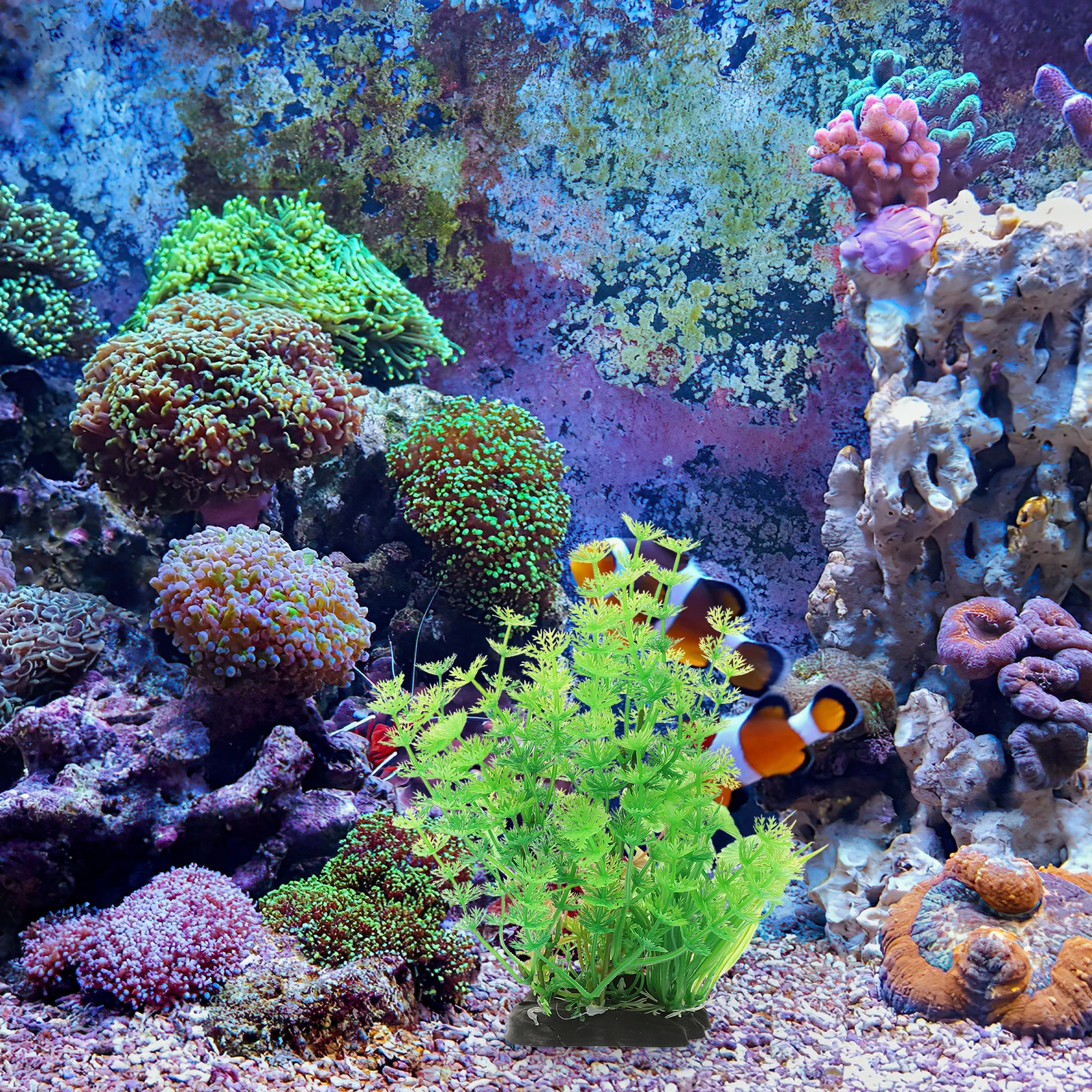 

Plastic Aquarium Plant Fish Tank Desktop Grass Decoration Realistic Artificial Water Decor Stylish Exquisite nament Creative