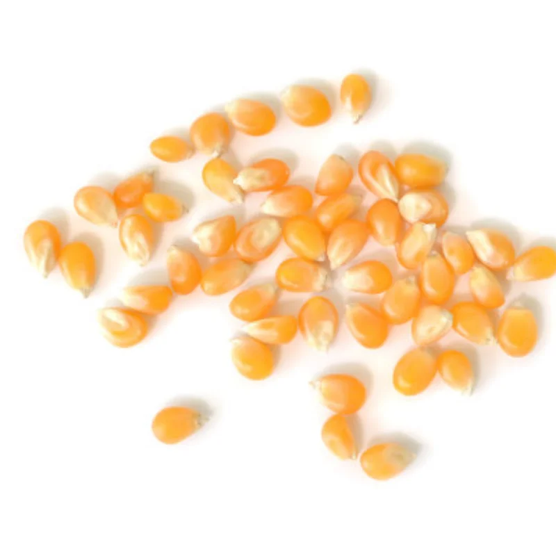 Simulation de décoration de voiture modèle 1/10, boîte à munitions, poupée soldat