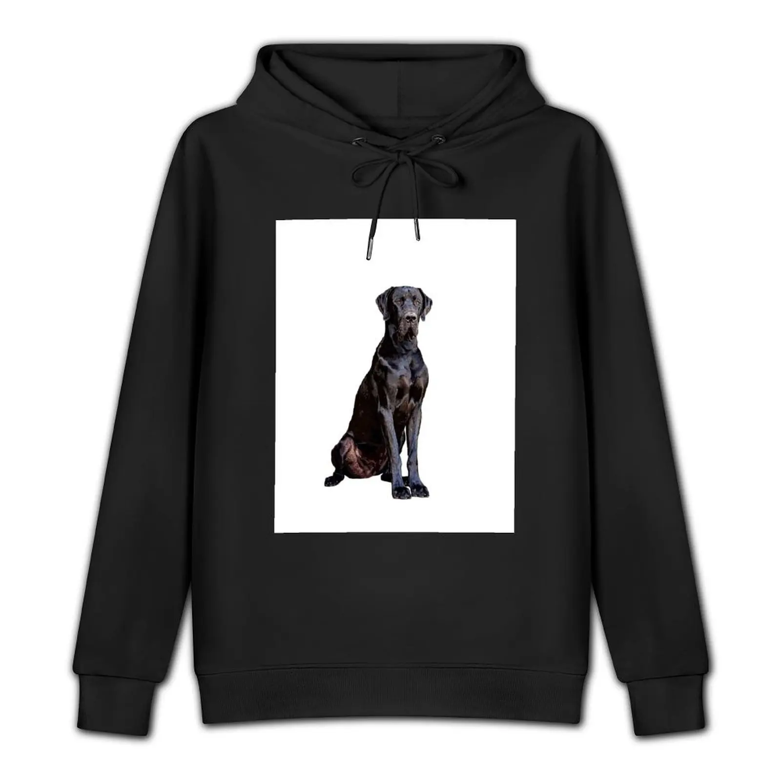 Great Dane Stunning Black Dog of Elegance Pullover Hoodie blouse aesthetic clothing mens clothing tracksuits