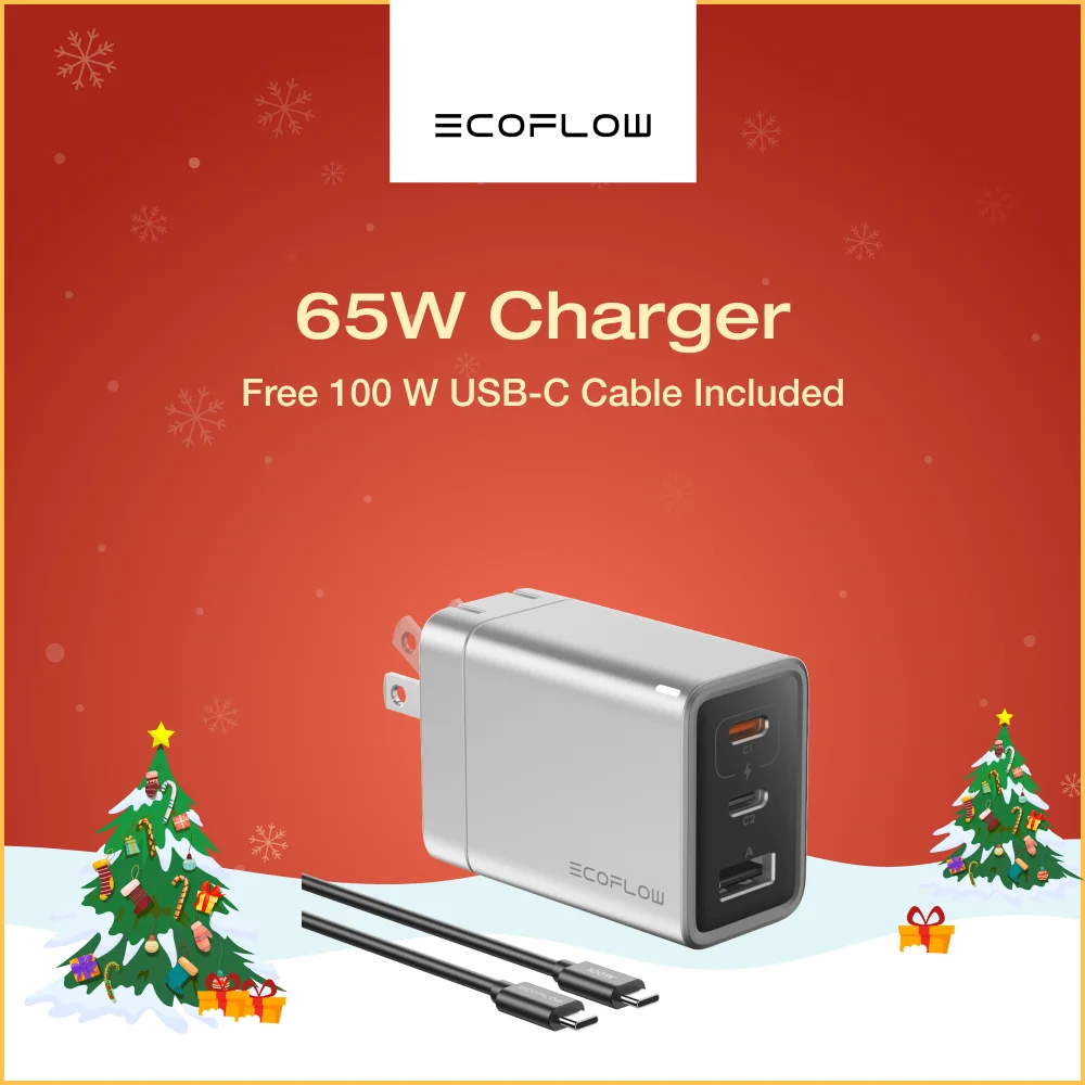 ECOFLOW USB C Charger, Rapid 20W/30W/65W GaN Type C Charging Block with Foldable Plug, Compatible with iPhone((USBC Cable Inclu)