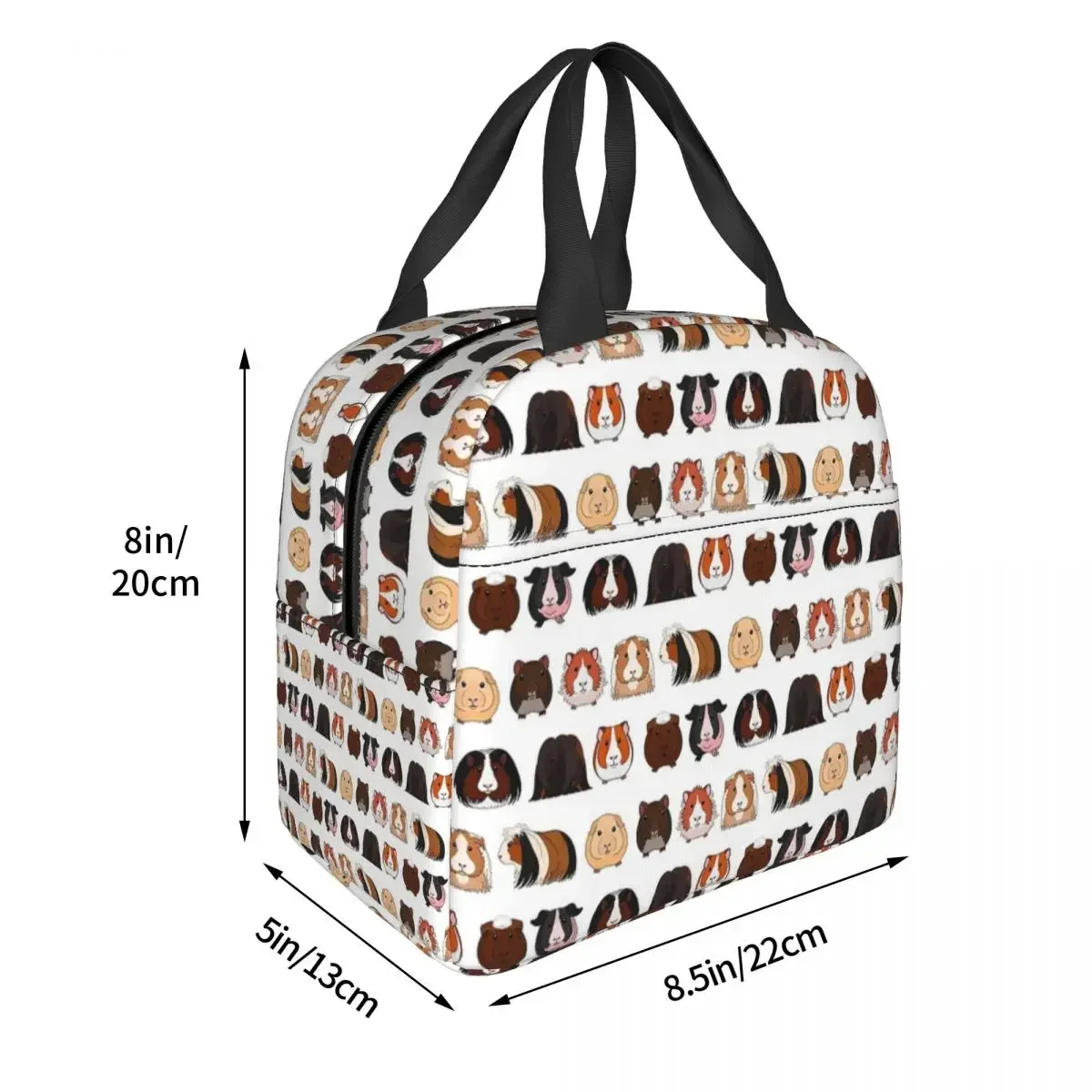 Guinea Pigs Types Lunch Bags Bento Box Portable Lunch Tote Leakproof Picnic Bags Cooler Thermal Bag for Woman Student Work