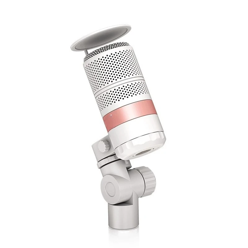 

High-value vocal microphone High-end recording live streaming host live broadcast dynamic microphone