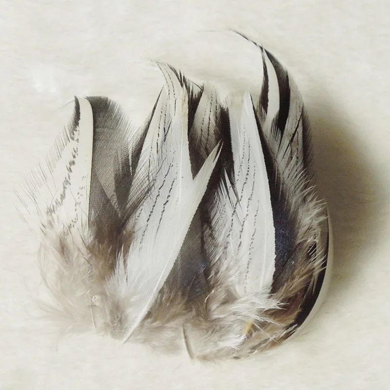 50Pcs/Lot 4-8CM Loose Nature Silver Pheasant Plumage Feathers for Jewelry Making,Costumes,Rare Feathers,Plume