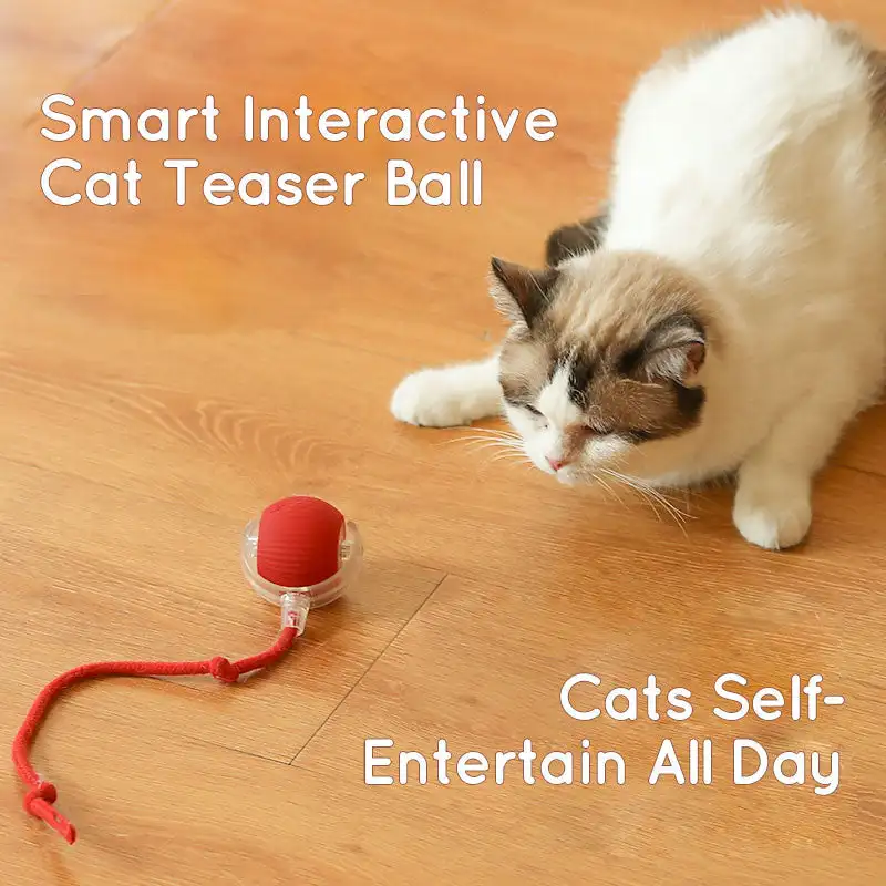 Cat Interactive Ball Toys 2025 New Automatic Rolling Ball Faux Tail Rechargeable Smart Pet Electric Toy Dog Cat Training Imitate