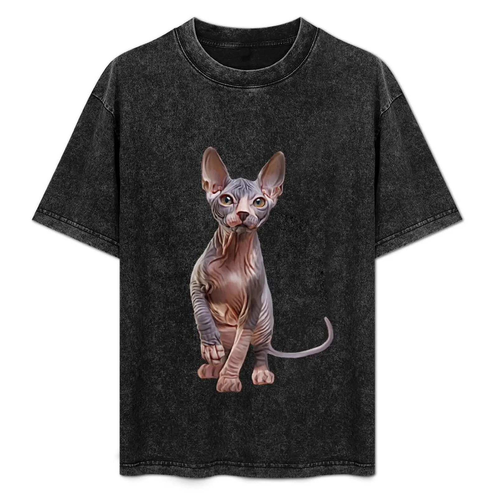 

Drawing Sphynx kitten, hairless T-Shirt Gym Exercise Short Sleeve T-Shirt