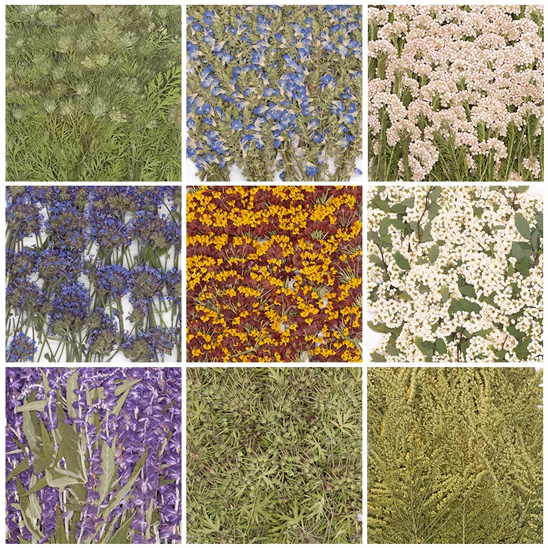 Confezione da 500 Pezzi di Fio - Dried Flower Bookmark recensione e prezzo