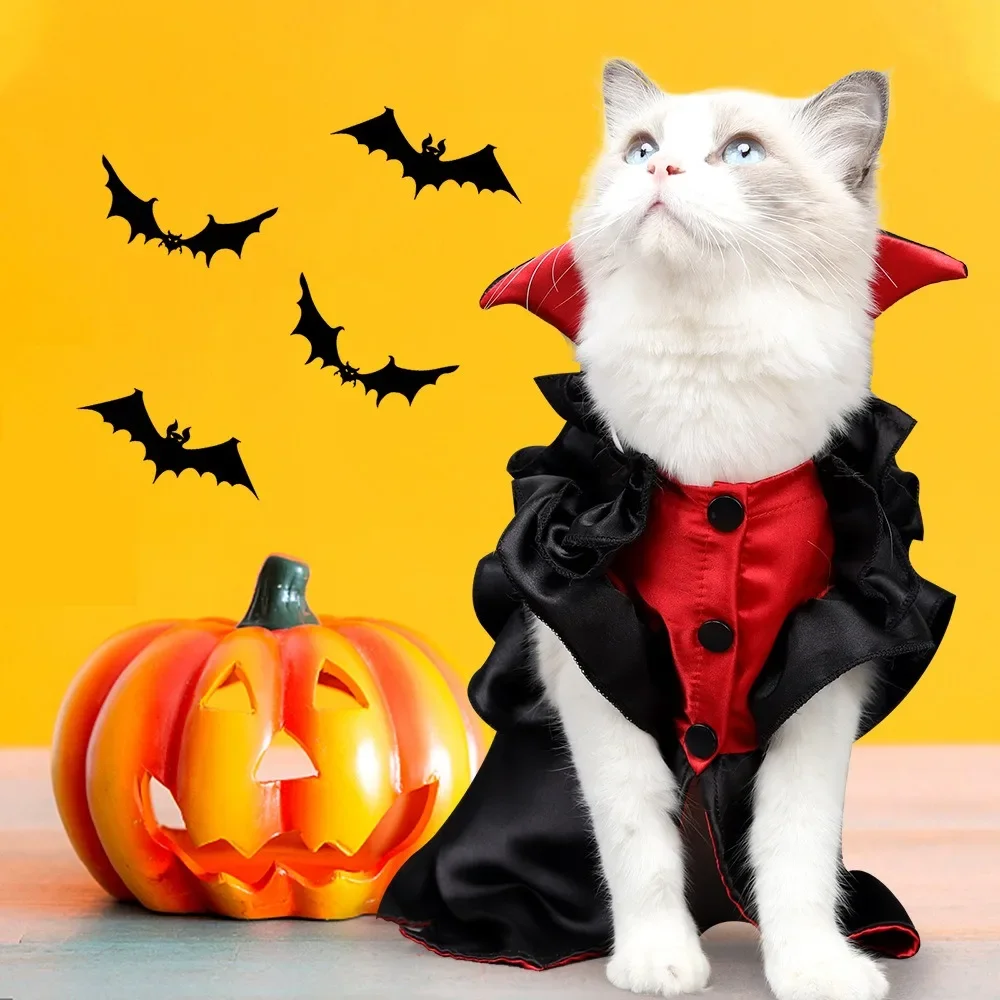 Cat Vampire Halloween costume, Cosplay Cat Christmas dress, Cat Christmas festive atmosphere costume