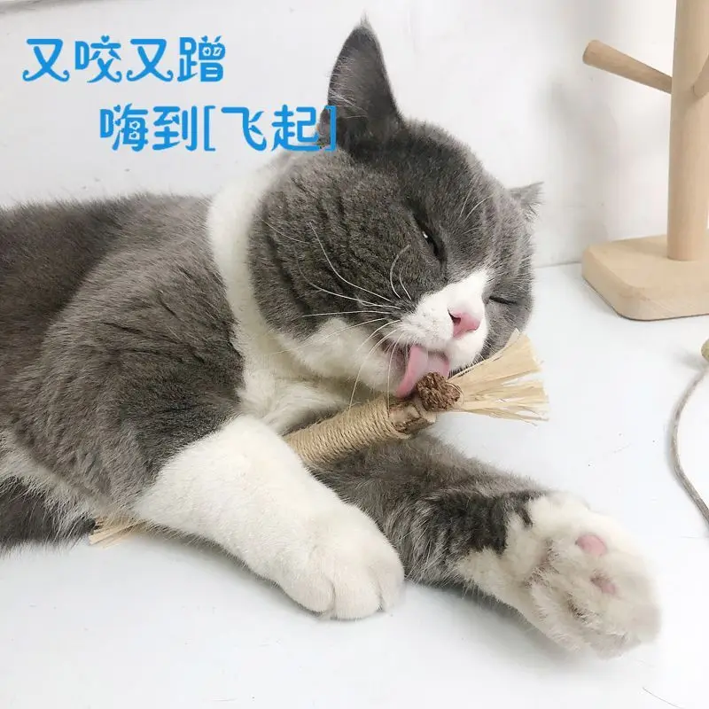 

1set 4/8/10pcs Cat Teeth Grinding Rod Natural Silvervine Dental Sticks Cat Grinding Rod Protect Cat Teeth Items From Bites
