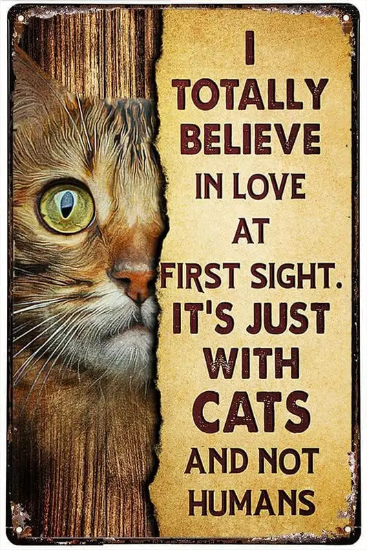 Funny Metal Tin Sign Bengal Cat I Totally Believe In Love At First Sight Poster Funny Tin Signs Bar Decorations Art Poster  sign