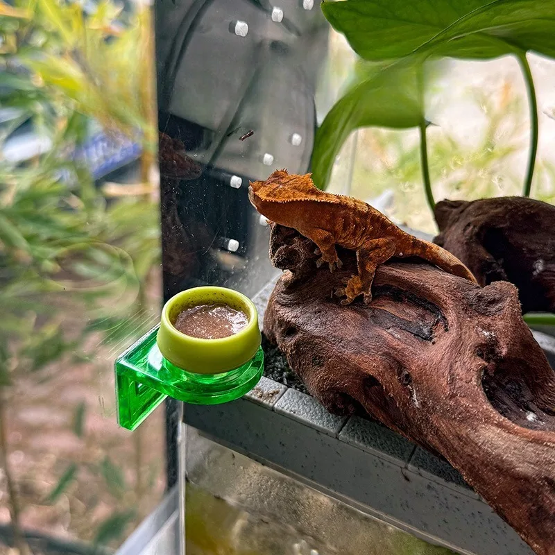 

Wall Mounted Reptile Food Dish Washable Gecko Feeding Cup for Crested Gecko Lizard Terrarium Tank Paste Food Calcium Supplement