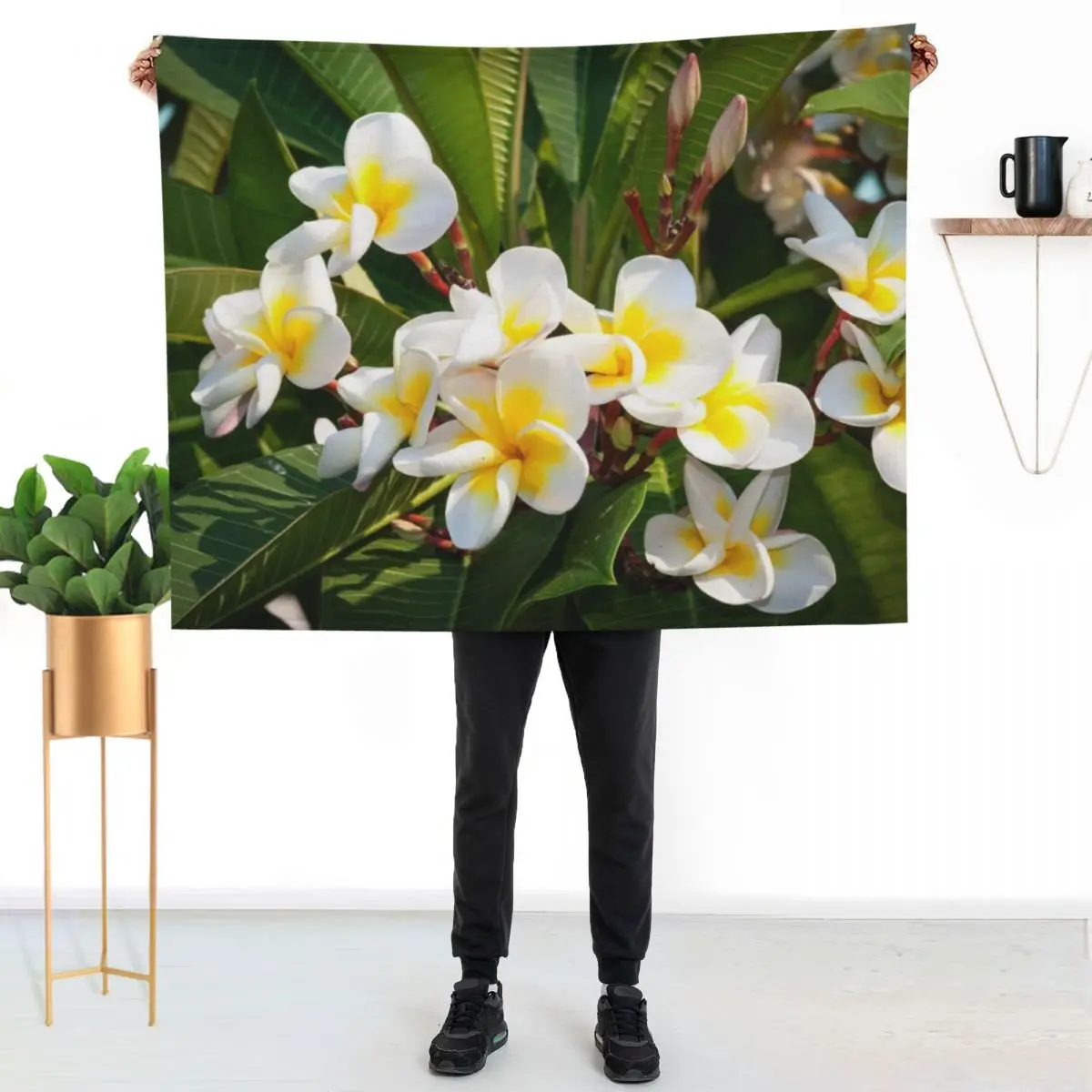 

Franjipani Throw Blanket Versatile Cozy Throw Blanket for All Occasions