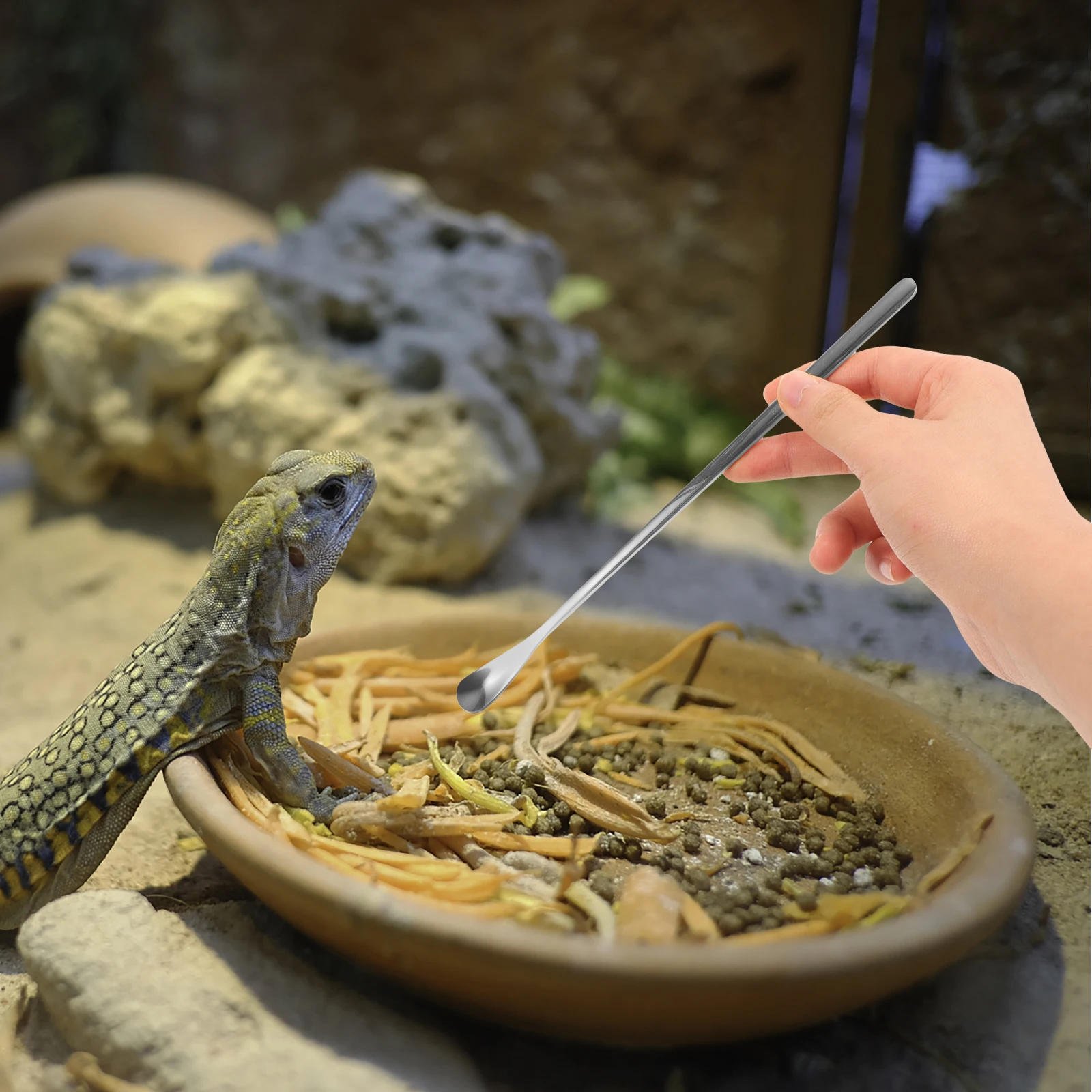 

2 Pcs 19cm Reptile Feeding Spoon Lizard Food Scoop Tool for Small Pets Portable Pet Supply Water Feeder Reusable Spoon