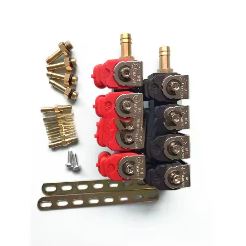 LPG/CNG Vehicle Oil To Gas Injector LPG Nozzle Rail 4 Cylinder General Gas Vehicle Parts