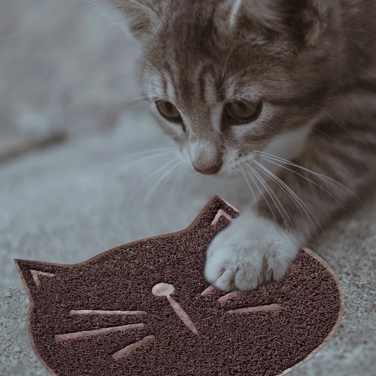 

Premium Litter Extra Large Durable Waterproof Eco-Friendly Scratch Resistant Soft Comfort Mat Adorable Cat Face Design for Wood