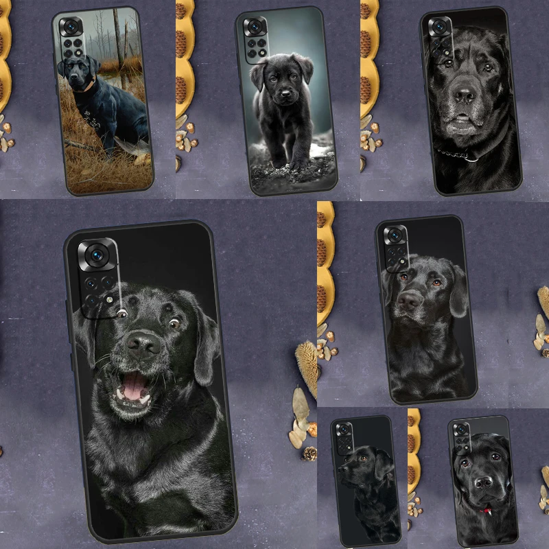 Labrador Puppy Dog … - image