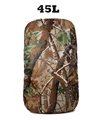45L