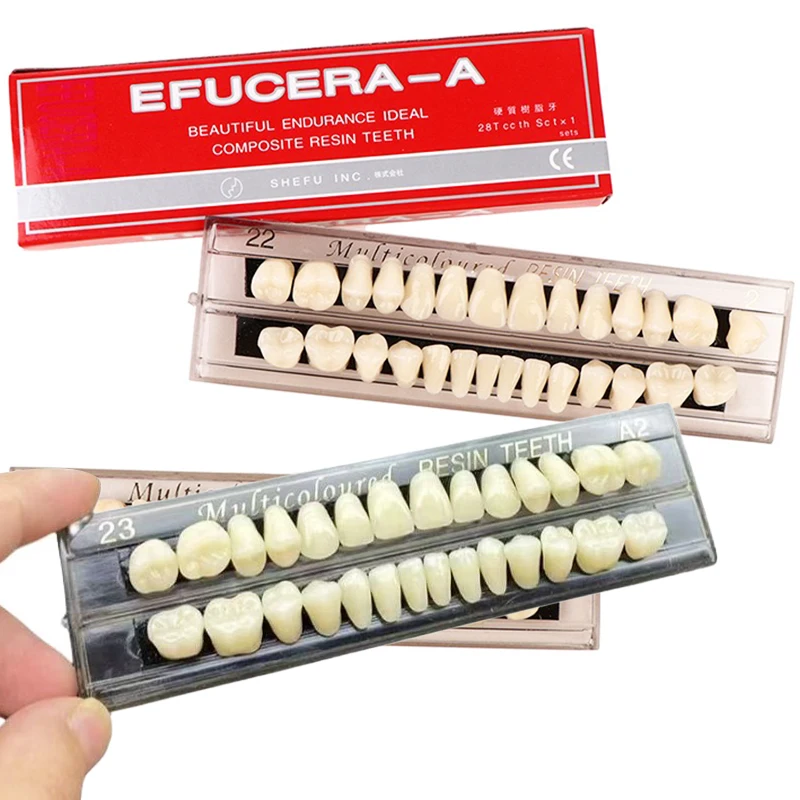 28teeth Resin Denture Teeth Comparator Mirror Dentistry Bleaching Dental Plate Research On Dental Education Model