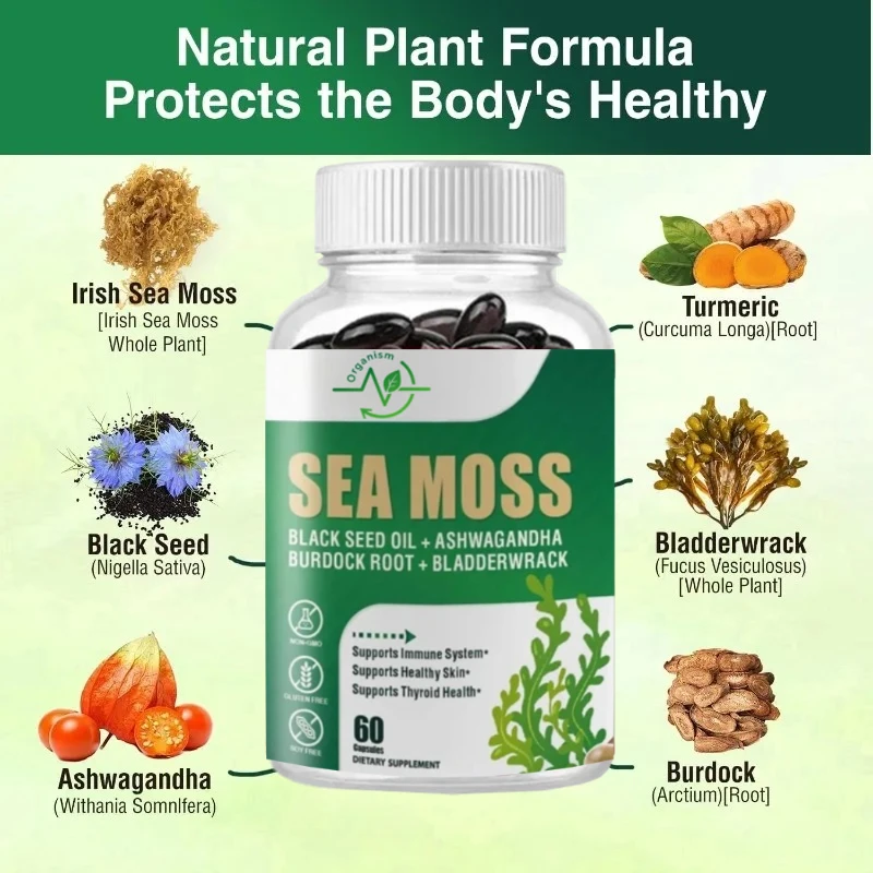 

Seaweed, Black Seed Oil, Ginger Supplement for Immune, Joint, and Intestinal Health Support -60 Capsules