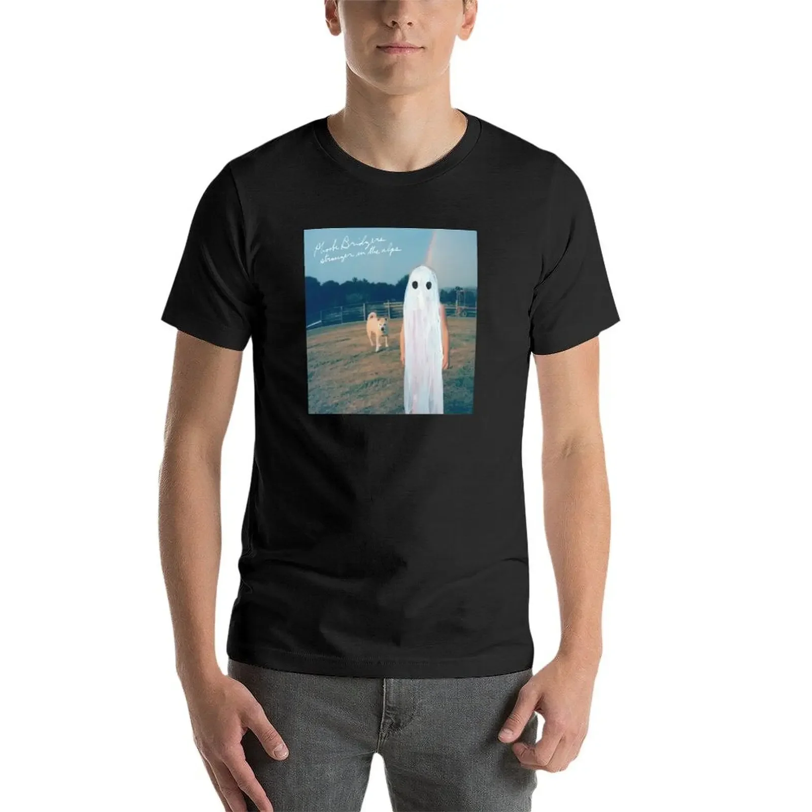 Phoebe Bridgers Vreemdeling In De Alpen Albumhoes T-Shirt Customized Oversized T-Shirt Effen Witte T-Shirts Heren