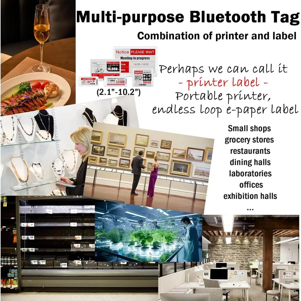 Digital Blank Labels, 2.1 BLE Compatible for Business and Retail, Storage and Information Display, B/W/R e-Ink Screen (Pack of 1