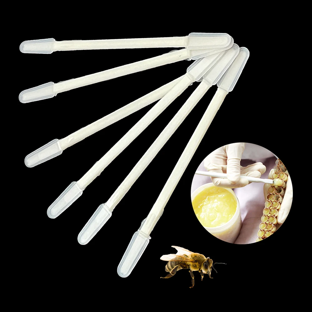 Raspador de miel de gelatina real, dispositivo de recolección, equipo de apicultura, herramientas de abejas, suministros de injerto, 10 piezas