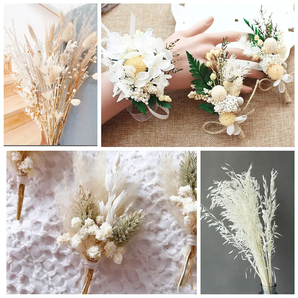 Dried White Oat Flowers,Real Natural Bleached Avena Flowers Wheat Bunch for Wedding Decoration,Flora Boho Decor,Home Arrangement