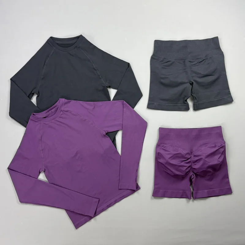 2 Piece Sports Set Women Seamless Yoga Crew Neck Long Sleeve Top Tummy Control Butt Lifting Shorts Gym Running Fitness Sets