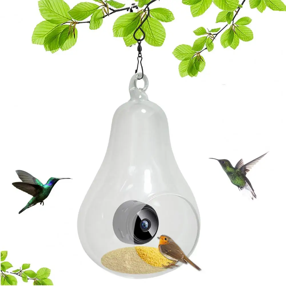 High-resolution Bird Watching Device Wifi Bird Feeder Camera Hd-compatible 1080p Real-time Monitoring Outdoor Bird for Lovers