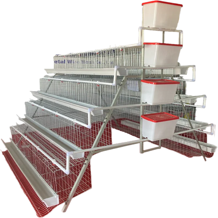

Chicken Cage for Layers Poultry Farming 160 Birds Dimension for 1000 Chicken Layer Cage
