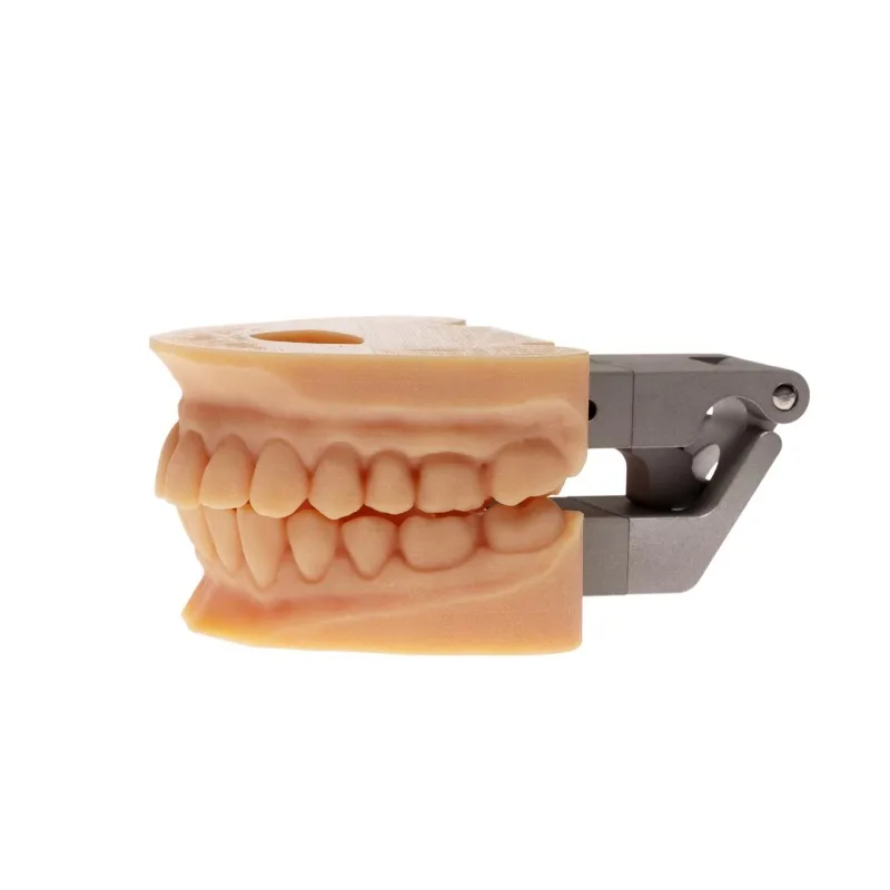 T Precision Tool for Occlusal Frame 3D Occlusal Jaw Frame for lab Technician Training and Laboratory Use