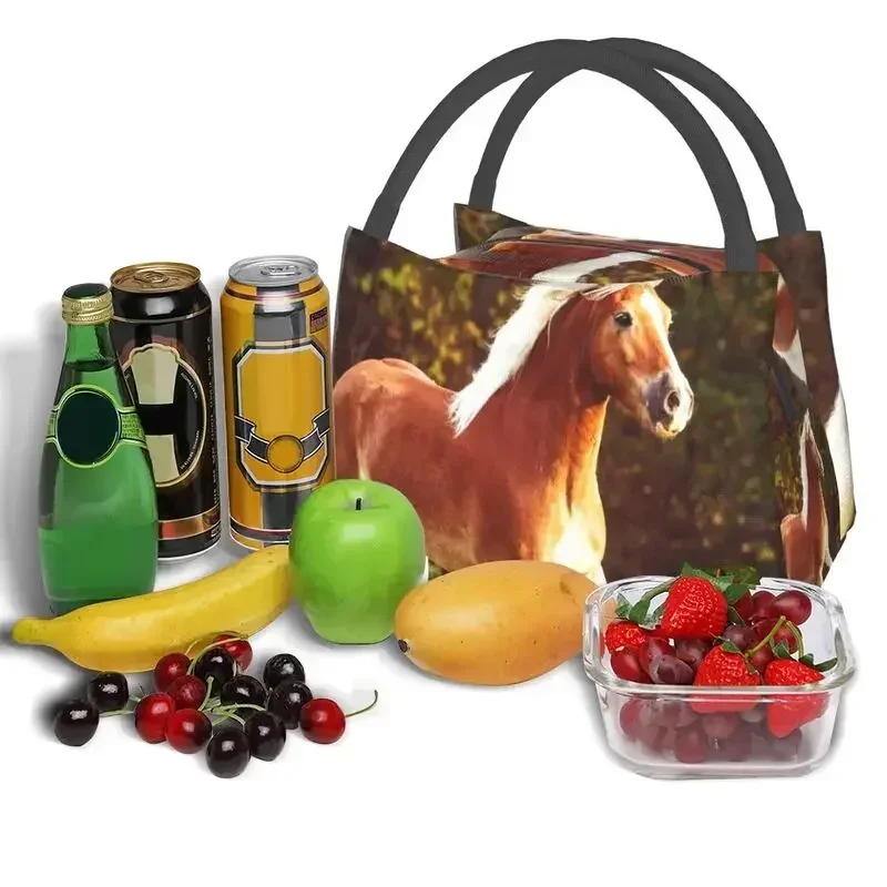 Bolsas de almuerzo con aislamiento térmico de caballo Haflinger, contenedor reutilizable de animales para mujer, caja de comida multifunción para viajes y acampada