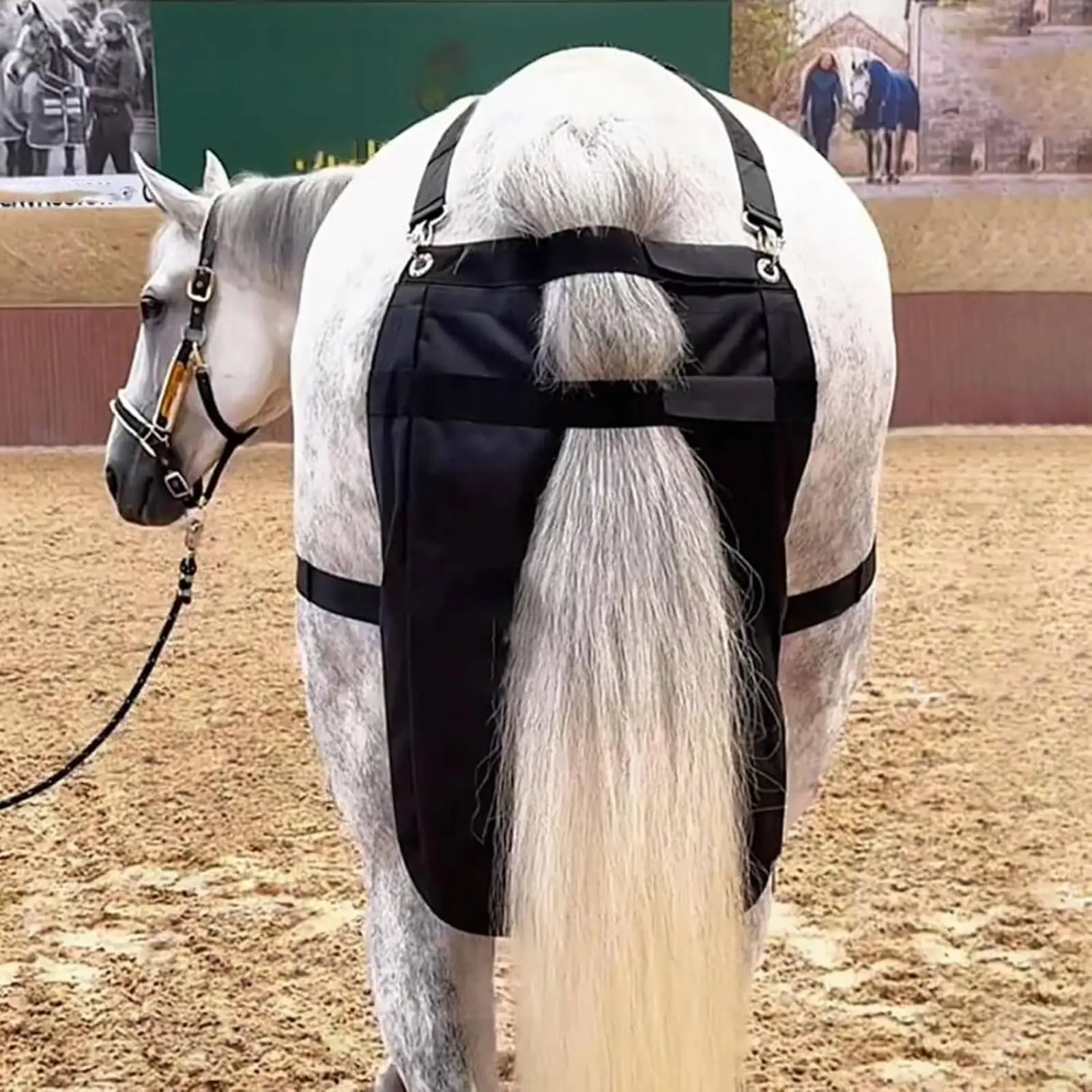 

Horse Manure Bag Adjustable Straps Horse Manure Catcher Bag Equine Poop Diaper Waterproof Sturdy Duty for Mounted Police Units