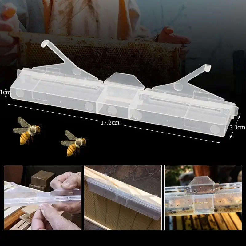 5/10Pcs Beetle Trap Clear Plastic Reusable Bee Health Suitable Frame Capture Beetle Beekeeper Supplies Gift